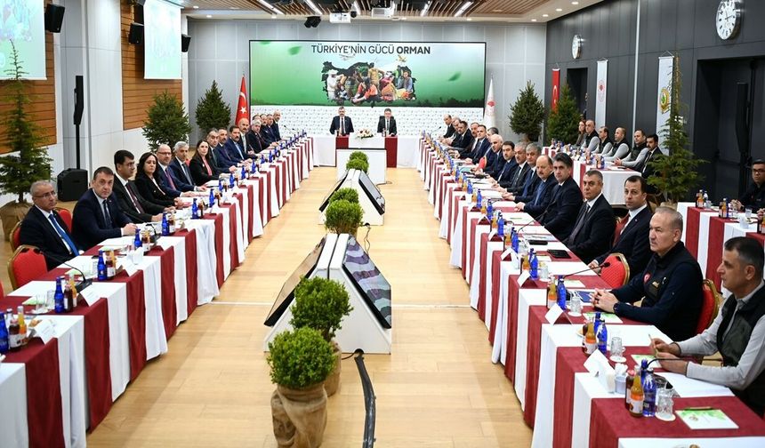 Kastamonu'da risk altında: Kastamonu Valisi toplantıya çağrıldı!