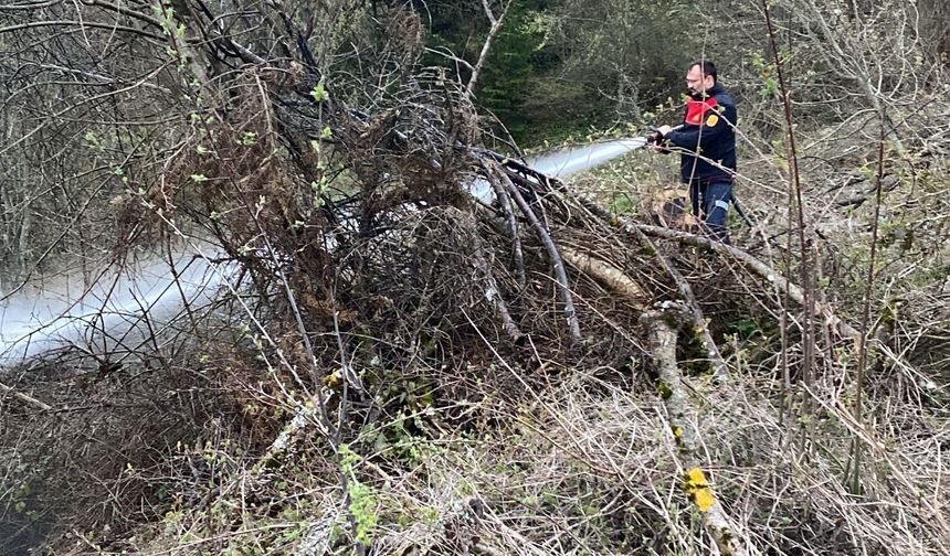 Kastamonu'da ormanlık alanda çıkan yangın korkuttu
