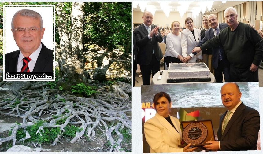 Köklerinde hayat var…