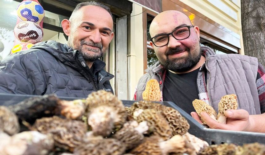 Taşköprü’de görülme sıklığı arttı: Kilosu 700 lira