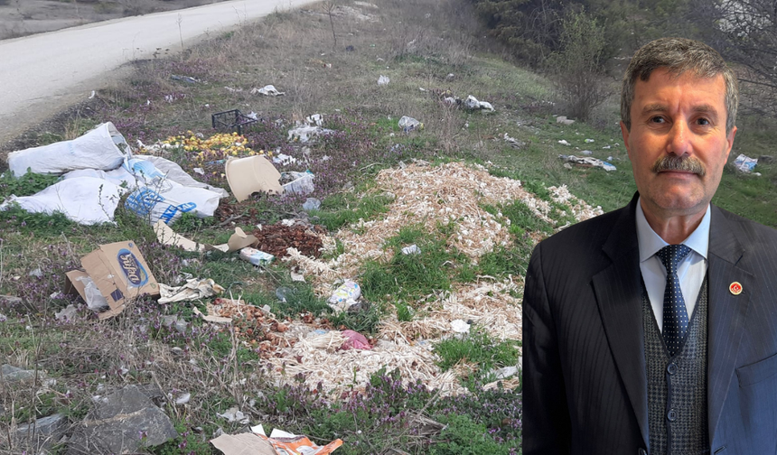 Taşköprü’de yol kenarı çöplüğe döndü