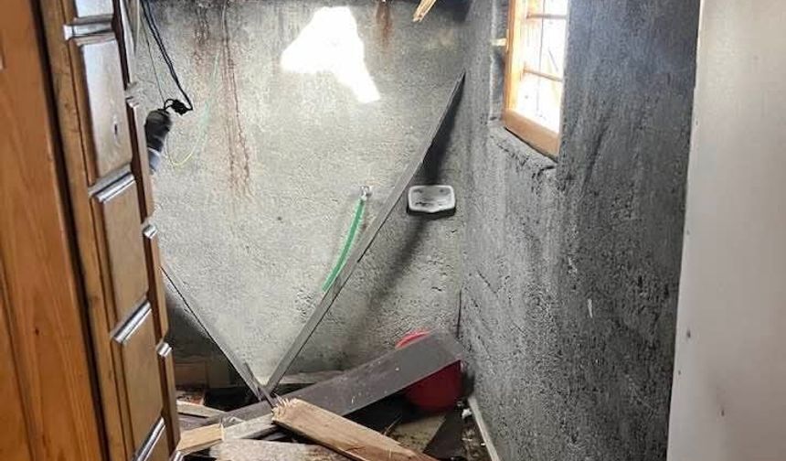 Vatandaşlar önlem bekliyor! Kış uykusu bitti: Ayı istilası başladı!