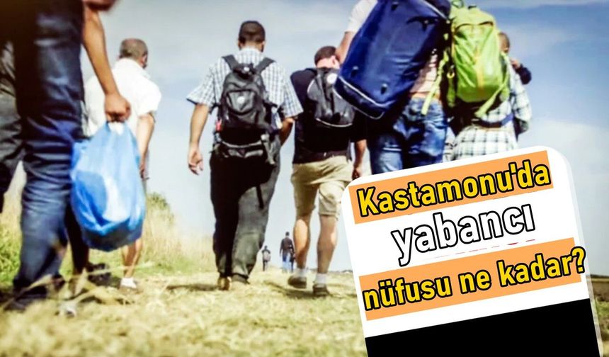 TÜİK açıkladı: Kastamonu’da ne kadar yabancı var?