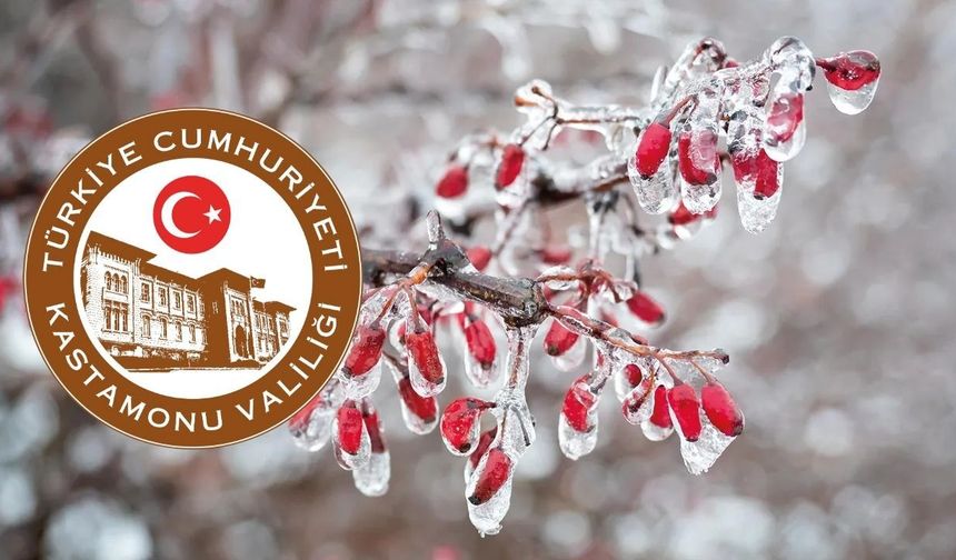 Kastamonu için zirai don uyarısı