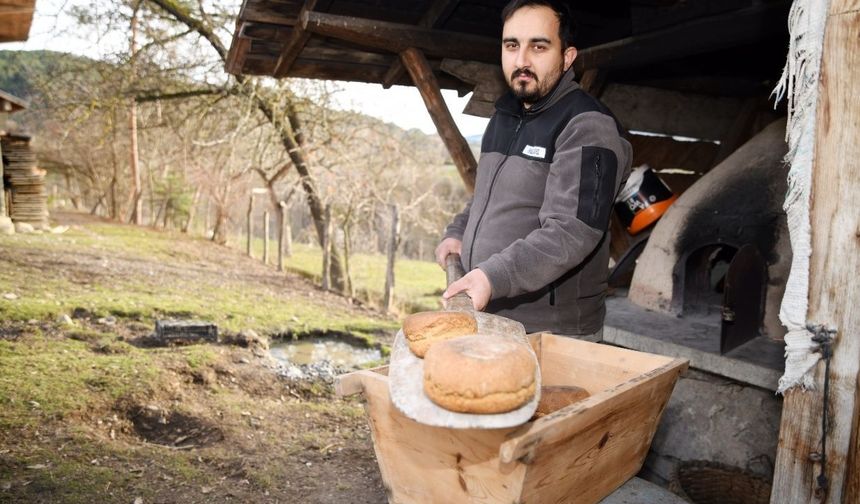 Kastamonu siyezi İtalya yolunda: Buz Adam Ötzi’nin yanında sergilenmek üzere gönderildi
