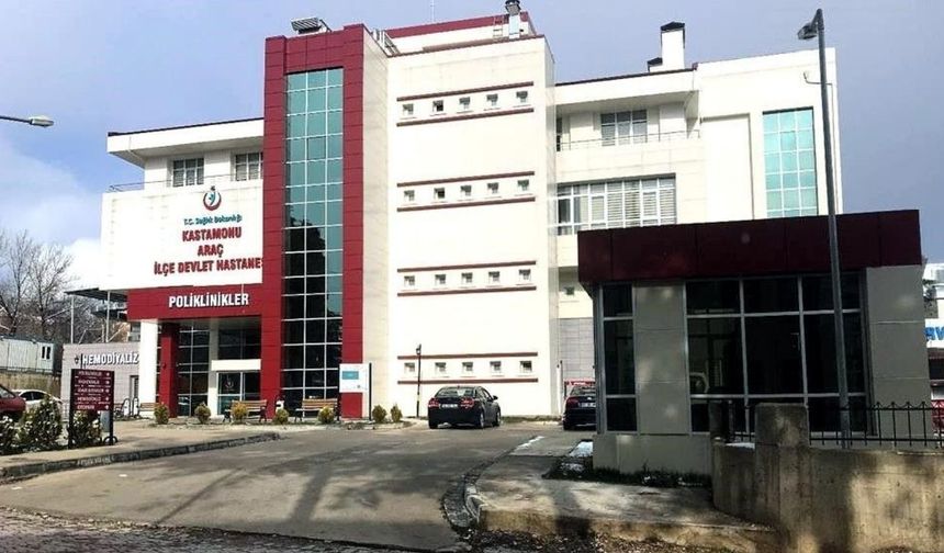Kastamonu’da feci olay: Kestiği ağaç canından etti