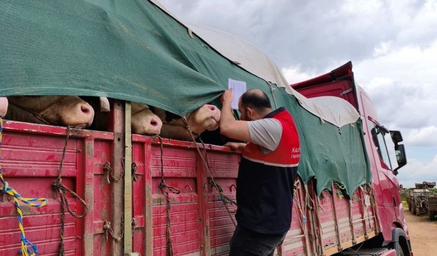 Kastamonulu besiciler dikkat: Cezası 7 bin 863 lira ceza!