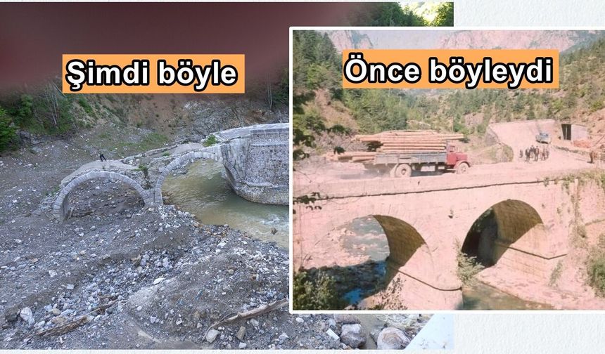 Kastamonu’da emekli akademisyen paylaştı: ‘Peşini asla bırakmam’