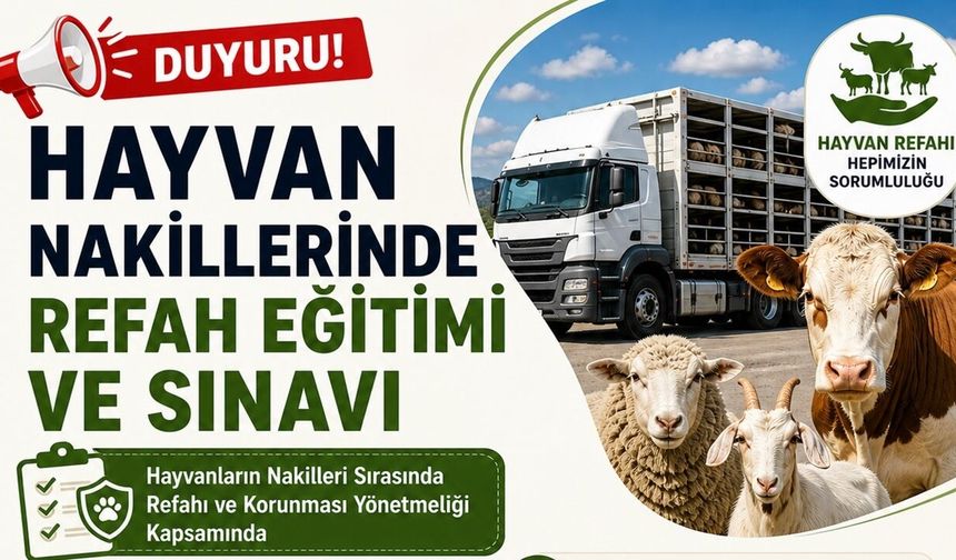 Kastamonu’da hayvan nakili yapanlara sınav yapılacak