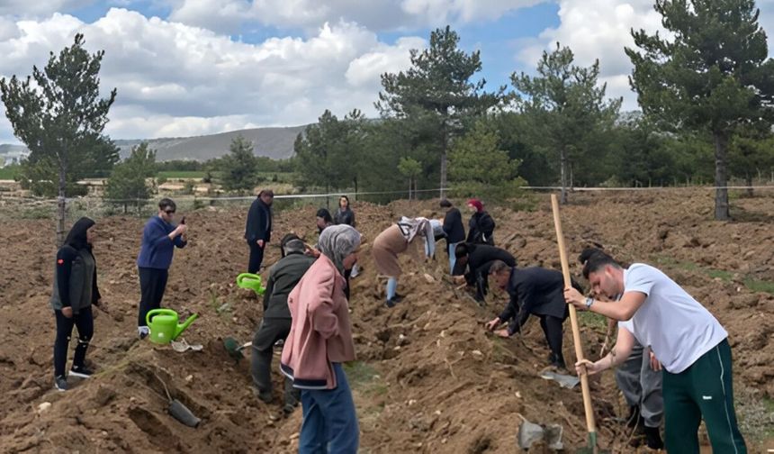 Kastamonu’da “Sonsuz Vefa” projesiyle fidanlar toprakla buluştu