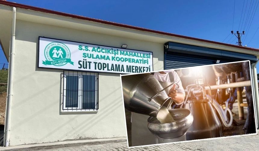 Taşköprü’de sütler bu merkezde toplanacak: Bugün açılıyor!