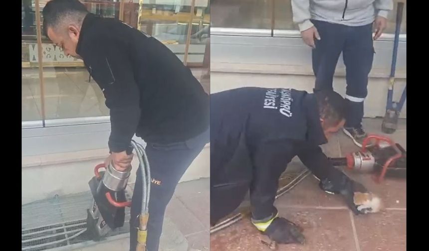 Taşköprü’de bina boşluğuna düşen kedi için zamanla yarış