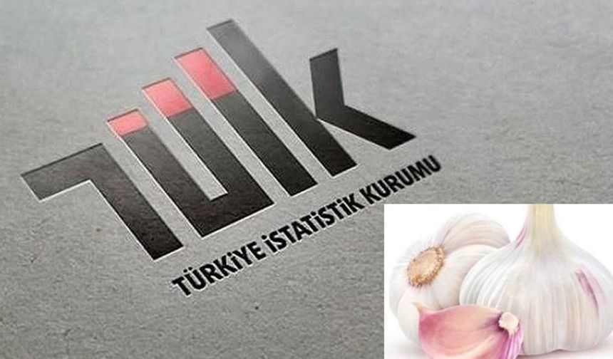 Taşköprü sarımsağı Türkiye’de zirveye yerleşti!