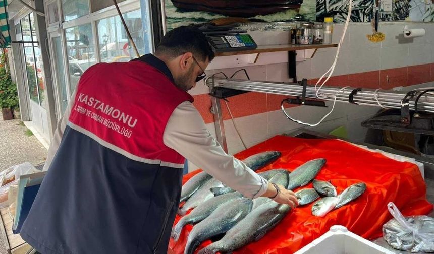 Çatalzeytin’de su ürünleri için denetimler sürüyor
