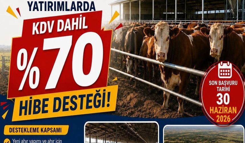 Kastamonu'da yatırım müjdesi: Yüzde 70'i hibe olacak