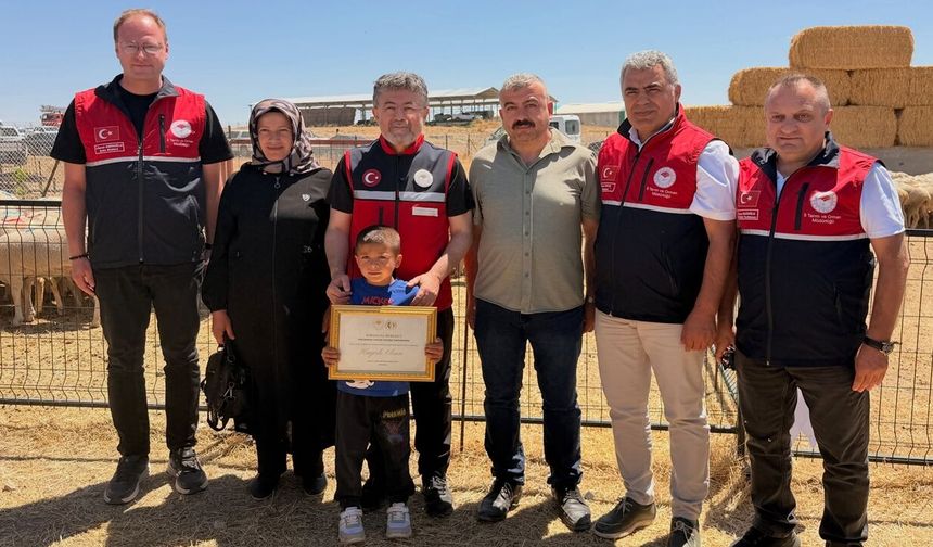 Kastamonu’ya ilk teslimat yapıldı: 160 bin küçükbaş hayvan verilecek