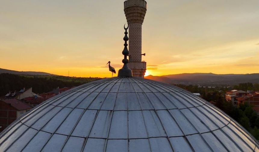 Kastamonu’da gün batarken leylekler cami kubbesini süsledi
