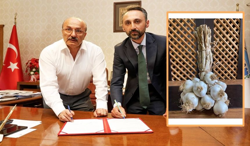 Taşköprü’de sarımsak için stratejik imza
