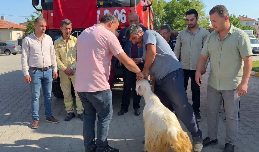Taşköprü Orman İşletme Müdürlüğü’nden anlamlı gelenek