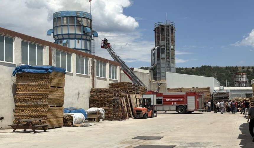 Kastamonu'da OSB'de fabrika yangını: Talaş silosu alevlere teslim oldu