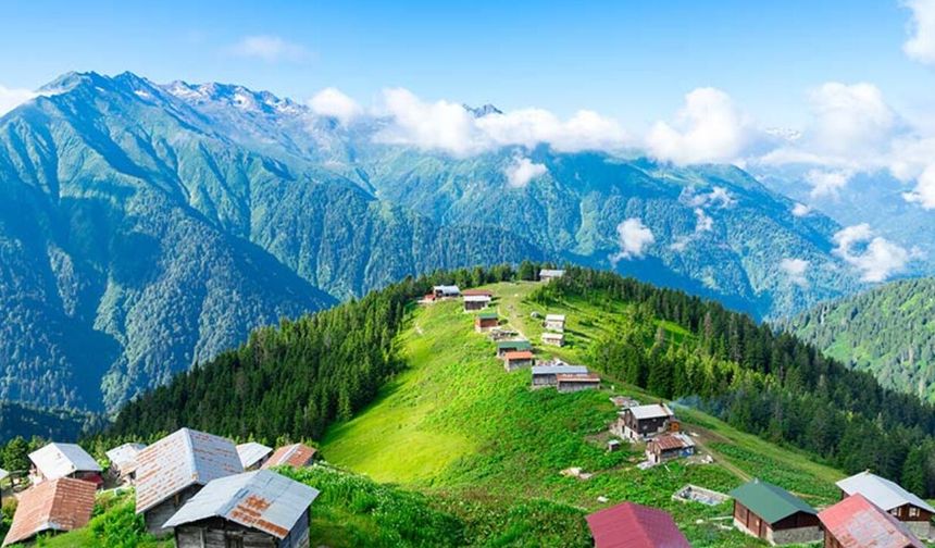 Yaylalara göç başladı: Uzmanlardan kritik uyarı geldi!