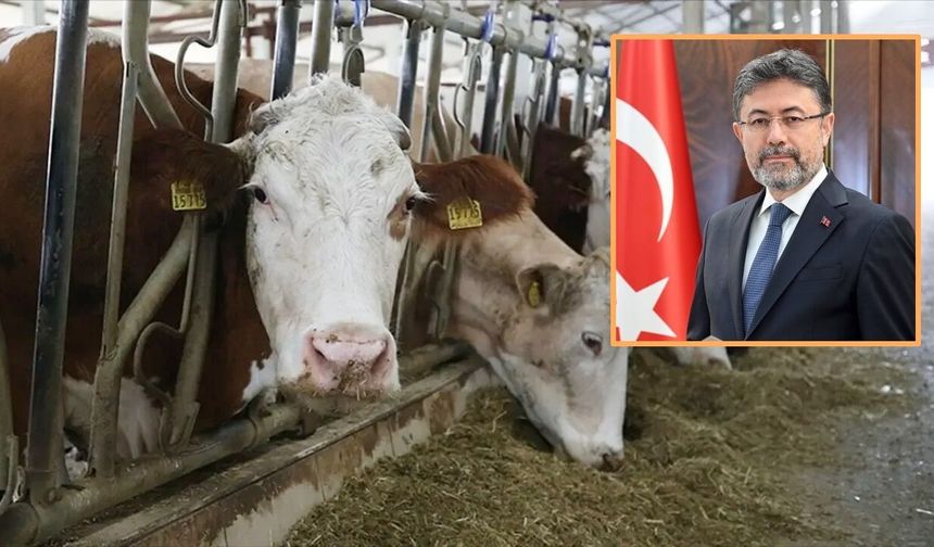 Kastamonulu bakandan heyecanlandıran açıklama: 108 bin baş hayvan dağıtılacak