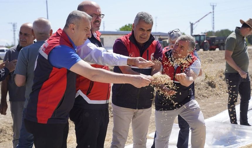 Kastamonu'da TMO'nun 2026 Hububat Alım Kampanyası başladı
