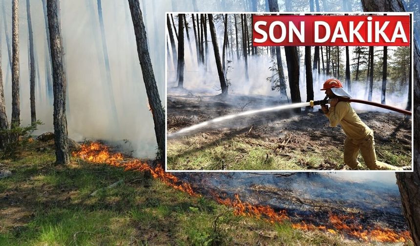 Son dakika: Kastamonu'da orman yangını çıktı! Havadan ve karadan müdahale
