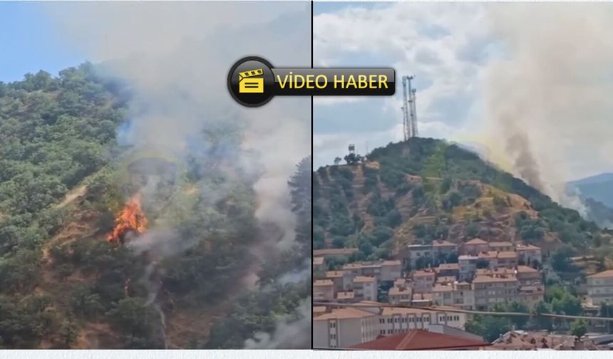 Son dakika: Tosya'da orman yangını çıktı! 'Panik yapmayın' çağrısı