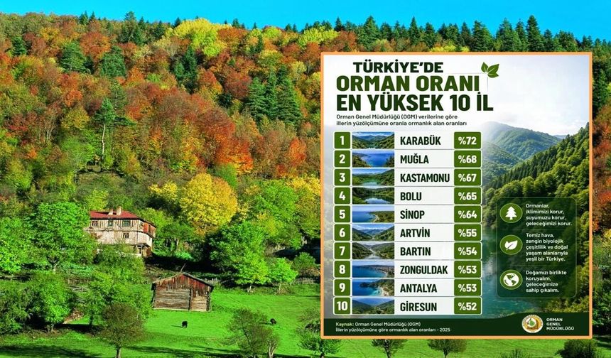 Kastamonu, Türkiye’nin en yeşil 3'üncü ili