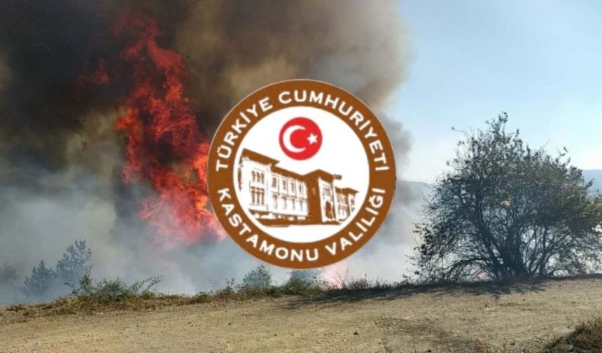Kastamonu Valiliğinden 'Yeşil Vatan' uyarısı: Risk arttı!