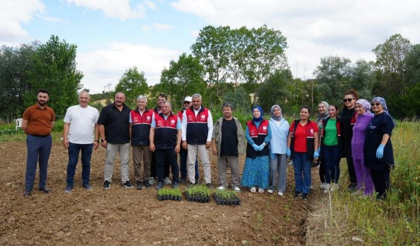 Kastamonu’da aromatik bitkiler çiftçiye yeni gelir kapısı olacak
