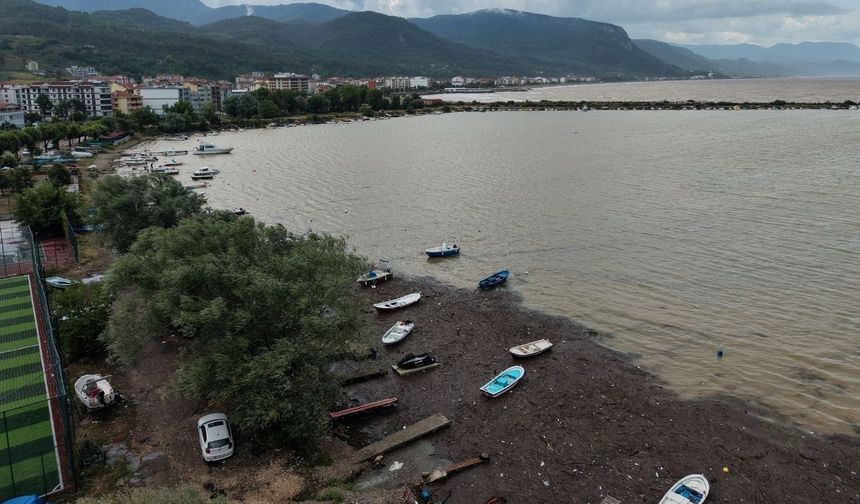 Kastamonu'da taşkının sürüklediği odunlar limanı kapattı