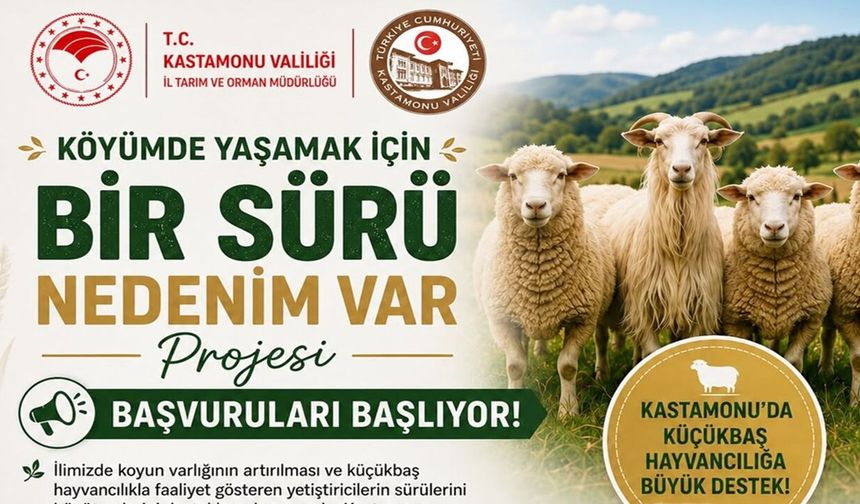 Kastamonu’da başladı: Köye döneceklere büyük fırsat