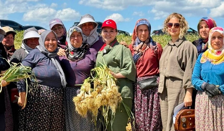 Milletvekili Ekmekçi’den Taşköprü’de güçlü söz: 'Bu markanın imzası kadınların'