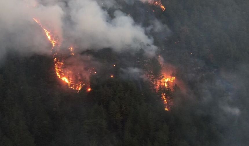 Kastamonu’da orman yangını: Yangın 4,5 saatte kontrol altına alınabildi