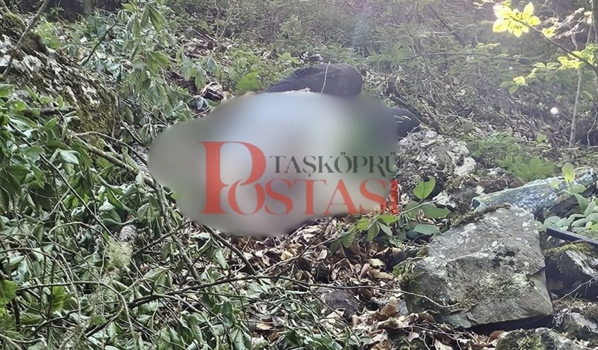 Son Dakika! Taşköprü’de düğün dönüşü kaza: Davulcu ve köçek yaşamını yitirdi