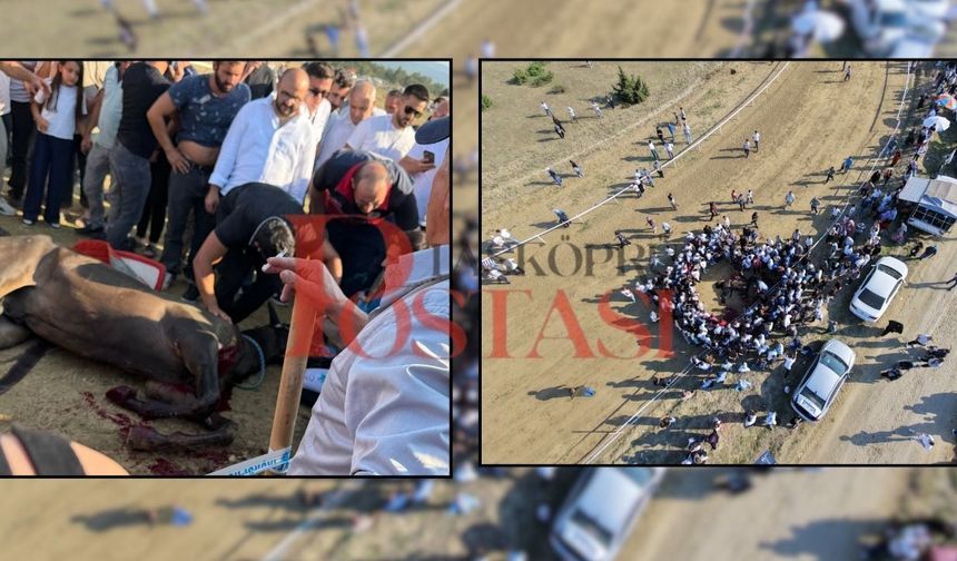 Taşköprü’de feci at kazası sonrası kavga çıktı!
