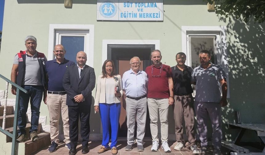 Birleşmiş Milletler Türkiye Temsilcisi Taşköprü’deki yatırımı inceledi