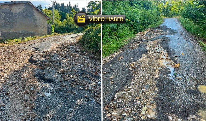 Kastamonu'da yol isyanı: 'Köyümüz yok oluyor!'