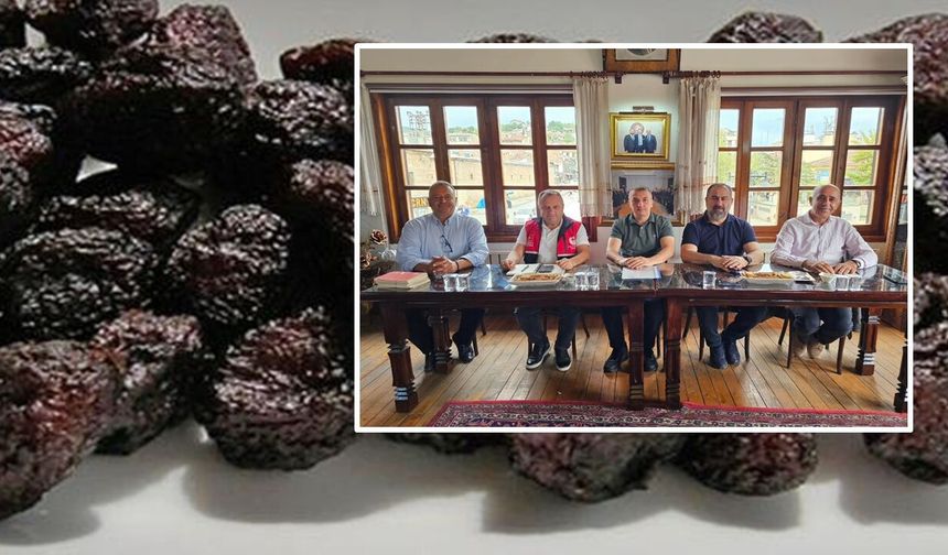 Kastamonu’da Üryani Eriği için stratejik adım