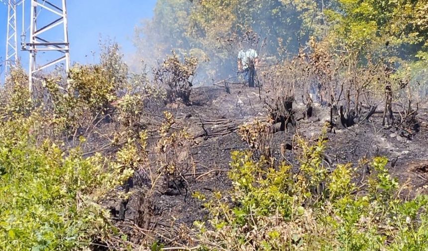 Kastamonu’nun ilçesinde ormanlık alan yandı: Ekipler seferber oldu
