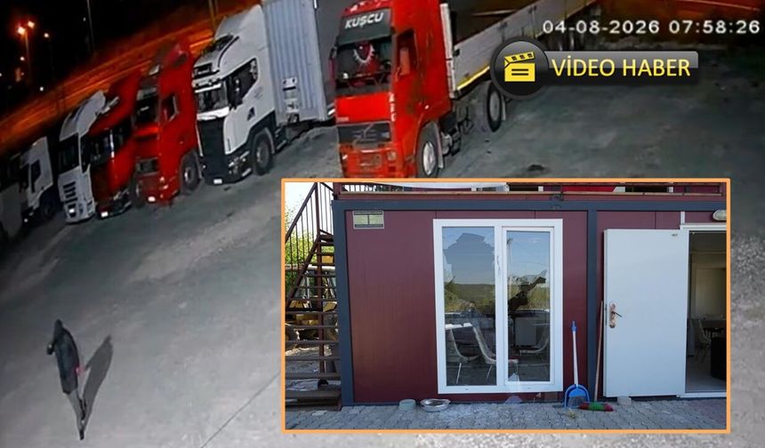 Kastamonu’da maskeli saldırgan kooperatifin camlarını kırdı