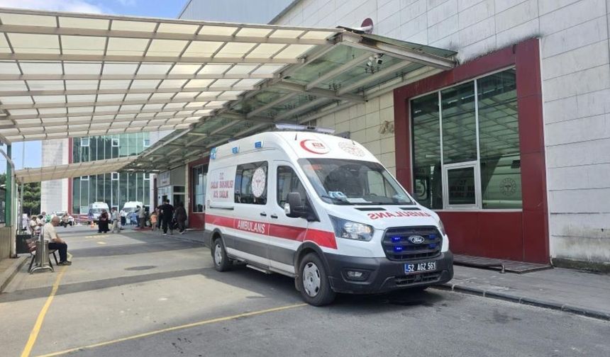 Mantar yiyen yaşlı çift hastanelik oldu