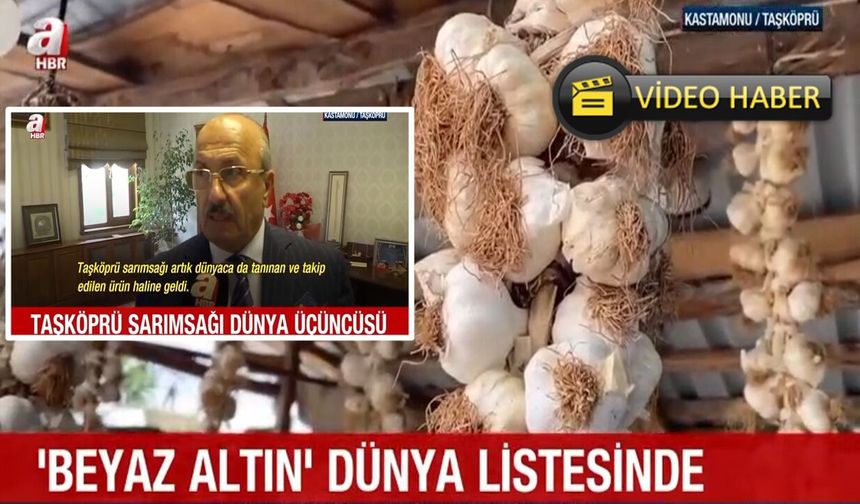 Taşköprü sarımsağının ünü sınırları aştı: Dünyada 3, Türkiye’de 1 numara