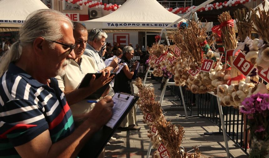 Taşköprü'de nefes kesen yarışma: En kaliteli sarımsak belli oldu
