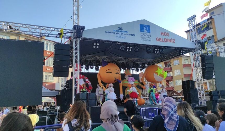 Taşköprü'de festival alanı neşeyle doldu! Animasyon gösterisi ilgi odağı oldu