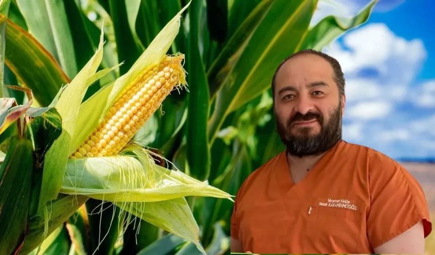 Taşköprü’de veteriner hekim uyardı: Bu hata kaliteyi düşürüyor