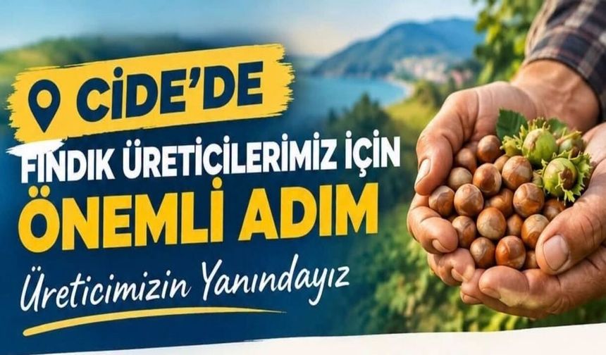Cide’de fındık üreticilerine yeni kolaylık: TMO alım merkezi hizmete giriyor