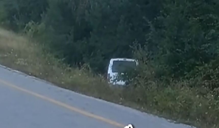 Kastamonu'da araç virajı alamadı!